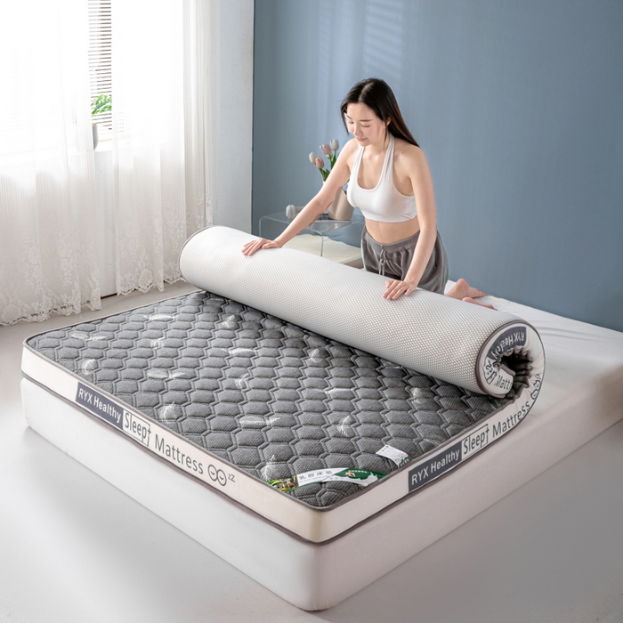 91家纺网 家纺一手货源 找家纺 缔莱被业 2024新款乳胶床垫软垫家用租房宿舍学生Q弹乳胶记忆棉垫--字母 羽毛灰（白）