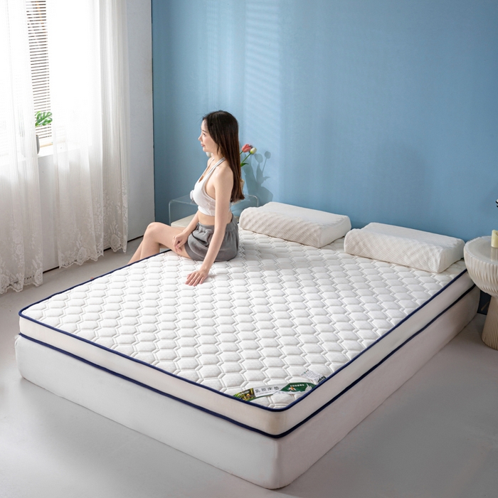 91家纺网 家纺一手货源 找家纺 缔莱被业 2024新款高端简约乳胶抗压记忆棉床垫软垫家用卧室床垫--白边 菱形白