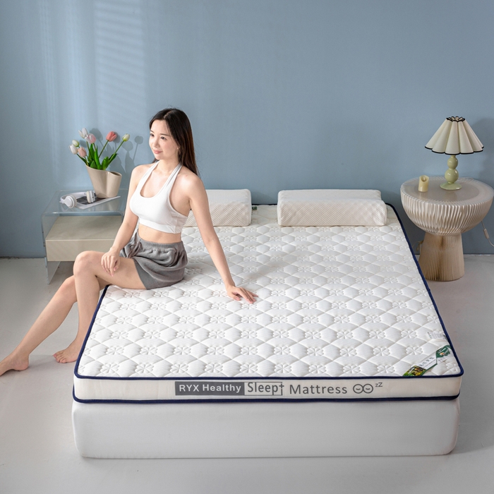 91家纺网 家纺一手货源 找家纺 缔莱被业 2024新款乳胶床垫软垫家用租房宿舍学生Q弹乳胶记忆棉垫--字母 花瓣白（白）