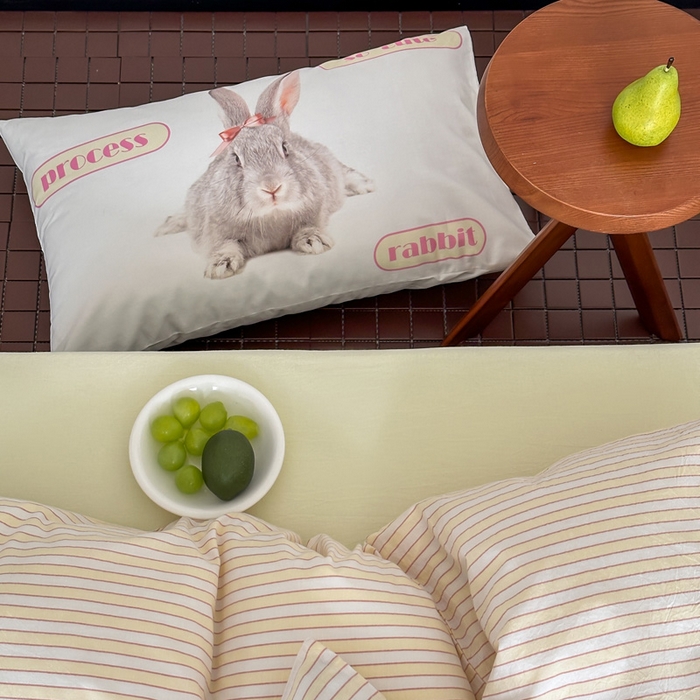 91家纺网 家纺一手货源 找家纺 艾沁 2024新款多巴胺条纹全棉色织水洗棉四件套 嫩黄条