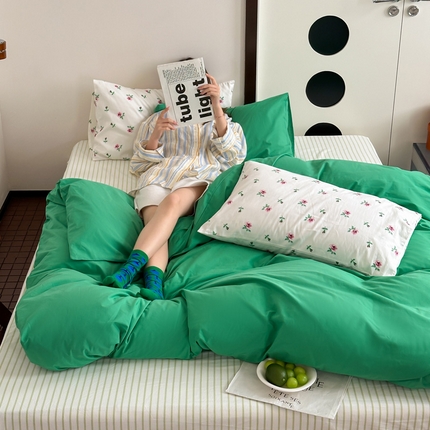 艾沁 2024新款小清新全棉水洗棉四件套 绿野仙踪（枕套一对花）