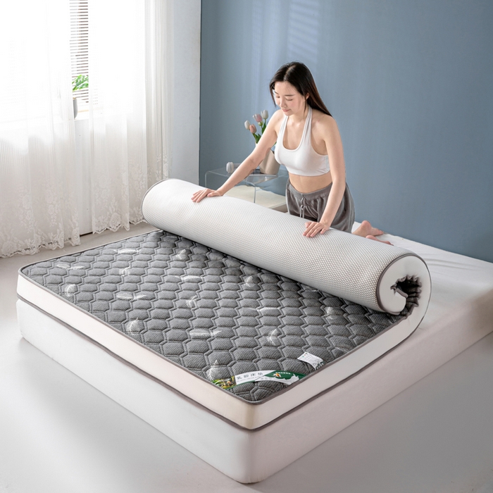 91家纺网 家纺一手货源 找家纺 缔莱被业 2024新款高端简约乳胶抗压记忆棉床垫软垫家用卧室床垫--白边 羽毛灰