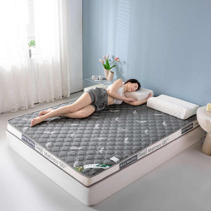 91家纺网 家纺一手货源 找家纺 缔莱被业 2024新款乳胶床垫软垫家用租房宿舍学生Q弹乳胶记忆棉垫--字母 羽毛灰（白）