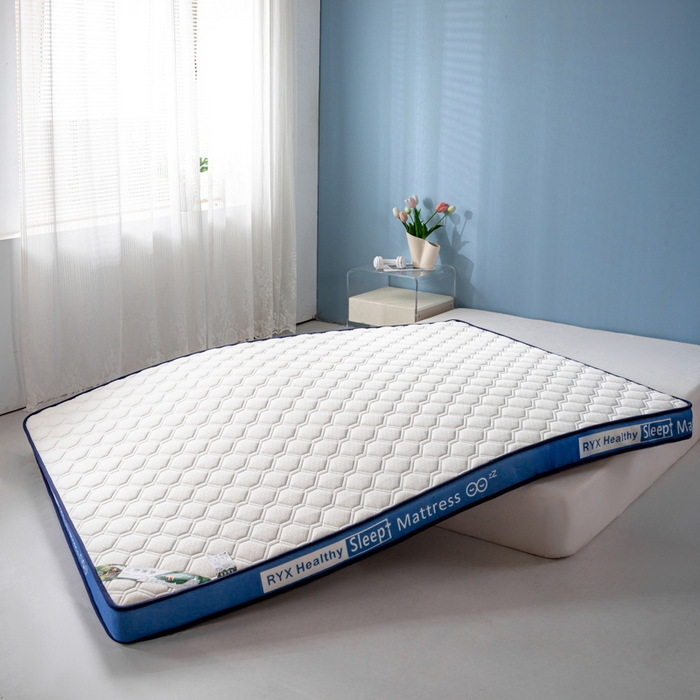 91家纺网 家纺一手货源 找家纺 缔莱被业 2024新款乳胶床垫软垫家用租房宿舍学生Q弹乳胶记忆棉垫--字母 菱形白（蓝）