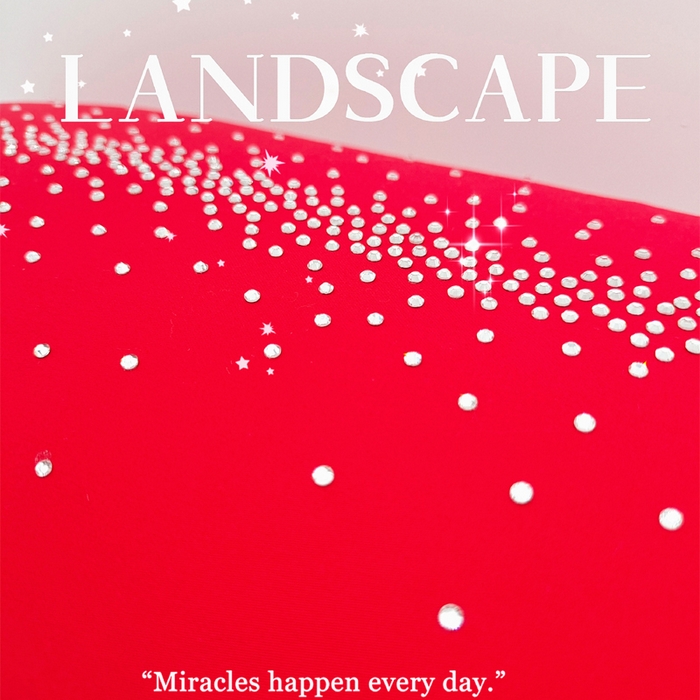 91家纺网 家纺一手货源 找家纺 （总）澜屿 24款全棉100支大红星空满钻小抱枕头枕芯腰靠枕