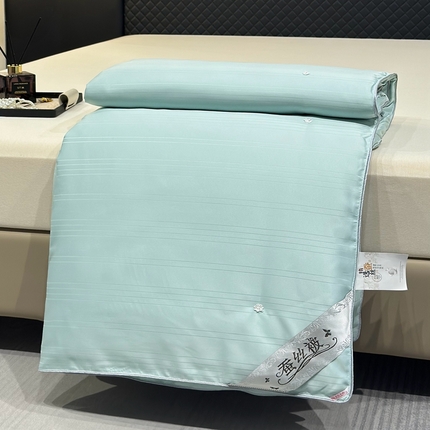 91家纺网 家纺一手货源 找家纺 江山被业 2025新款长绒棉蚕丝被 水绿