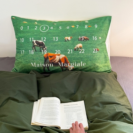 艾沁家纺 2024新款全棉数码印花枕套 草原