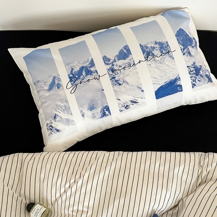 艾沁家纺 2024新款全棉数码印花枕套 冰川