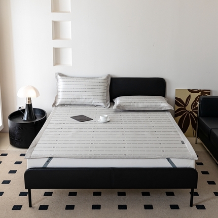 本希家居 2024新款简约轻奢系列高端可水洗冰丝席 巴黎情怀灰平席