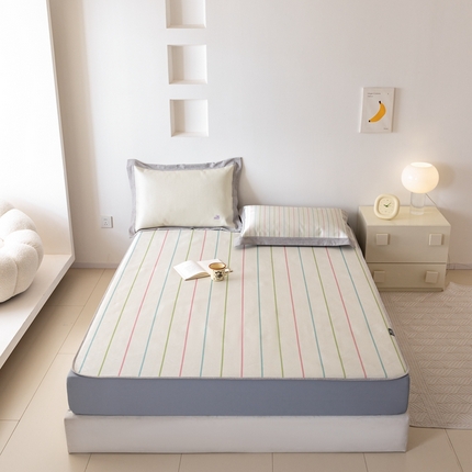 本希家居 2024新款小清新刺绣系列高端可水洗冰丝席 小彩靴床笠