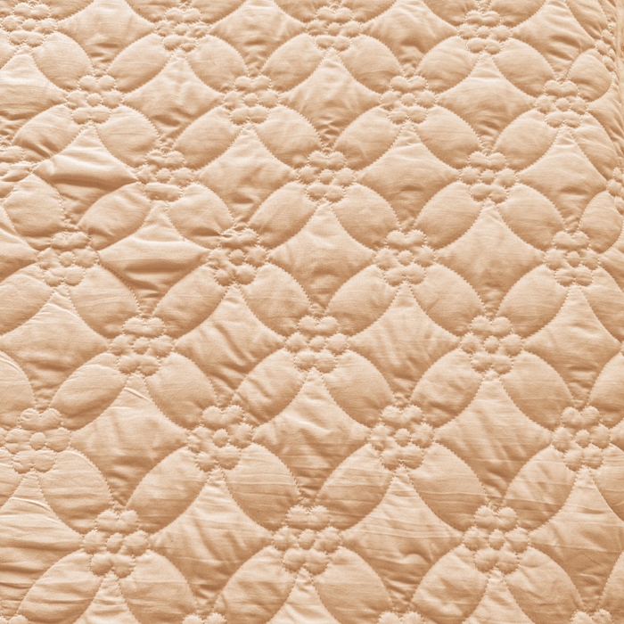 91家纺网 家纺一手货源 找家纺 罗艺轩 2024新款公主风水洗棉夹棉单床裙-浪漫满屋床 浪漫满屋-香槟