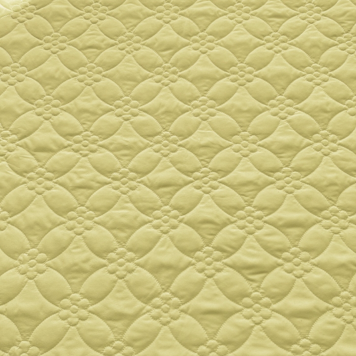 91家纺网 家纺一手货源 找家纺 罗艺轩 2024新款公主风水洗棉夹棉床裙款四件套-浪漫满屋床 浪漫满屋-元气绿