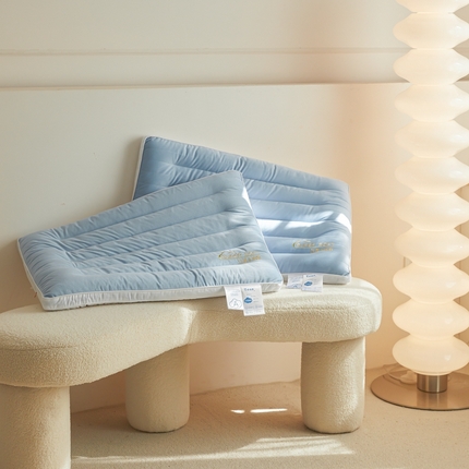 91家纺网 家纺一手货源 找家纺 （总）皇皇冠之家枕芯  2024新款云柔绒感枕芯