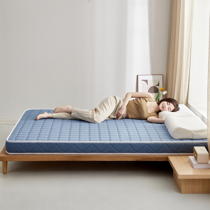 91家纺网 家纺一手货源 找家纺 祁恋婷 2024新款牛奶丝乳胶加记忆棉加棕床垫【床垫遮盖物】 面包格-蓝 海绵款