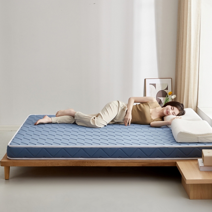 91家纺网 家纺一手货源 找家纺 祁恋婷 2024新款牛奶丝乳胶加记忆棉加棕床垫【床垫遮盖物】 曲线-蓝 海绵款