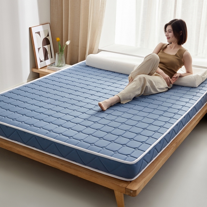 91家纺网 家纺一手货源 找家纺 祁恋婷 2024新款牛奶丝乳胶加记忆棉加棕床垫【床垫遮盖物】 面包格-蓝 棕垫款