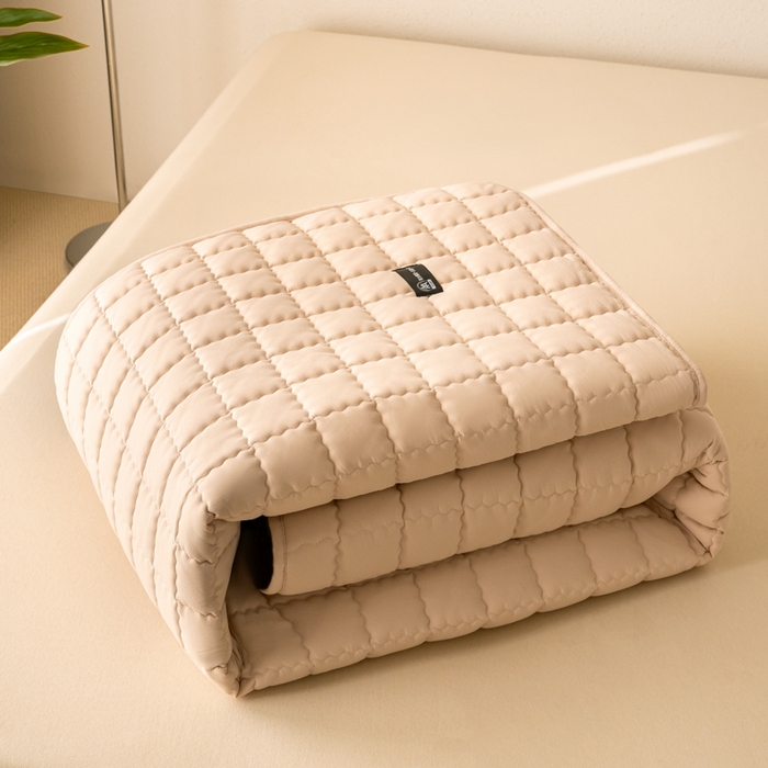 91家纺网 家纺一手货源 找家纺 X猫先生 2024新款A类防水床褥床护垫原棉大豆抗菌夹棉护垫软床垫（跑量款） 爱格-奶咖