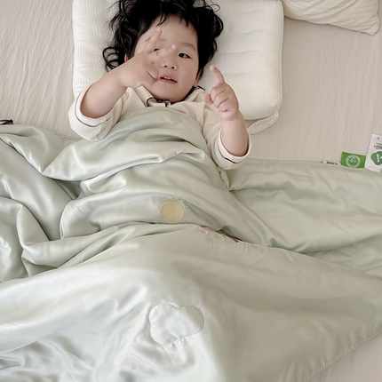 91家纺网 家纺一手货源 找家纺 西西家居 2024新款A类正宗60支兰精天丝儿童夏被 绿色小象