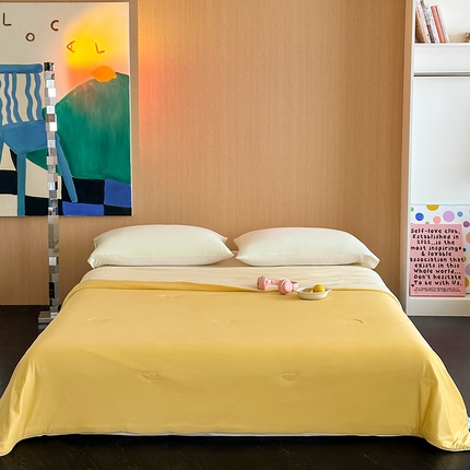 91家纺网 家纺一手货源 找家纺 昔可家纺 2024新款冰淇淋瓜瓜夏凉被 芝士黄