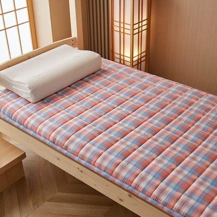 祁恋婷家居 2024新款全棉水洗棉棉花床褥床垫【床垫遮盖物】系列-学生款 冰淇淋