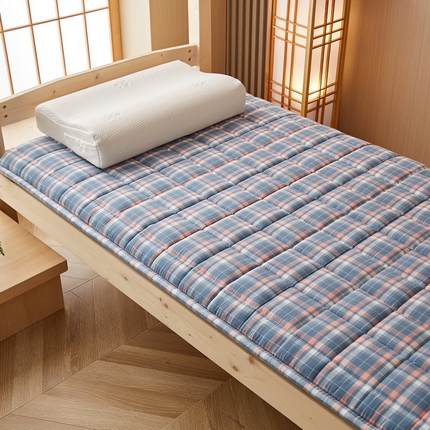 91家纺网 家纺一手货源 找家纺 （总）祁恋婷家居 2024新款全棉水洗棉棉花床褥床垫【床垫遮盖物】系列-学生款