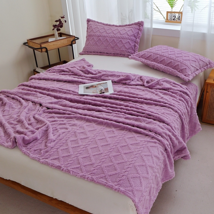 91家纺网 家纺一手货源 找家纺 芸锦豪 2024新款塔芙绒毛毯多功能毯-双面塔夫绒卷边 塔夫绒-莫奈紫