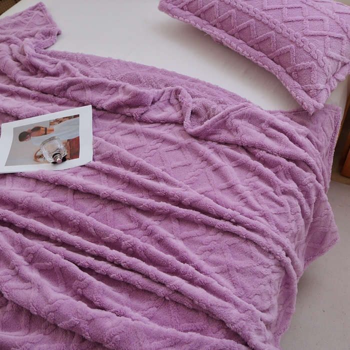 91家纺网 家纺一手货源 找家纺 芸锦豪 2024新款塔芙绒毛毯多功能毯-双面塔夫绒卷边 塔夫绒-莫奈紫