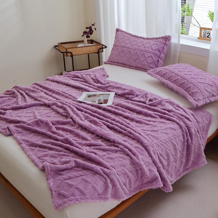 91家纺网 家纺一手货源 找家纺 芸锦豪 2024新款塔芙绒毛毯多功能毯-双面塔夫绒卷边 塔夫绒-莫奈紫