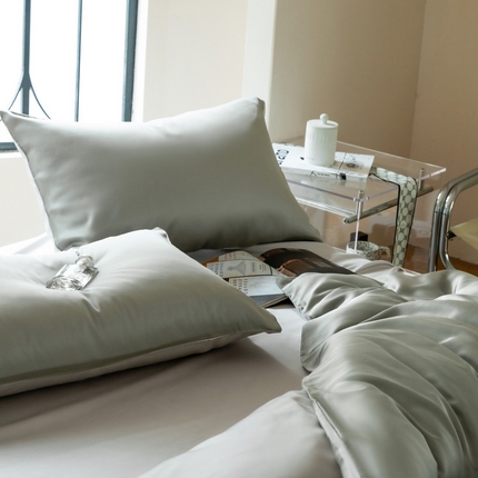 佳汐蓝 2024新款AB版高支高密莱赛尔兰精天丝柔系列 单枕套 实拍图 柔-青石绿+椰子灰