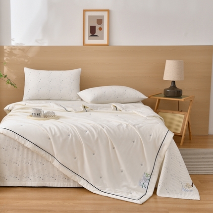 （总）有货 2024新款莱塞尔星星纱洗床盖四件套