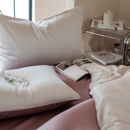 佳汐蓝 2024新款AB版高支高密莱赛尔兰精天丝柔系列 单枕套 实拍图 柔-流沙灰+千黛紫