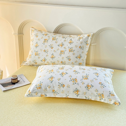 珂博家纺 2024新款轻柔感全棉印花单品四件套系列-单枕套 煦日阳光