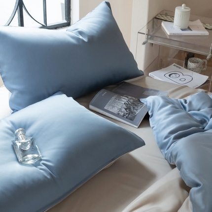 佳汐蓝 2024新款AB版高支高密莱赛尔兰精天丝柔系列 单枕套 实拍图 柔-梵高蓝+椰子灰