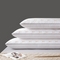 91家纺网 家纺一手货源 找家纺 （总）芯宜佳 2024新款双人枕芯情侣枕头1米1.2米1.5米1.8米 刺绣爱心枕头芯