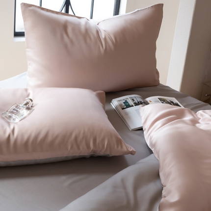 91家纺网 家纺一手货源 找家纺 佳汐蓝 2024新款AB版高支高密莱赛尔兰精天丝柔系列 单枕套 实拍图 柔-玉桂粉+椰子灰