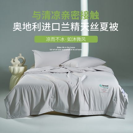 91家纺网 家纺一手货源 找家纺 巴宝路 2025新款（科技款）奥地利进口兰精天丝夏被 科技灰