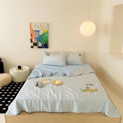 西西家居 2024新款兰精天丝夏被 小飞机