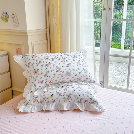 清雅福 2024新款喷气全棉13372韩版花边款单枕套 好事花生