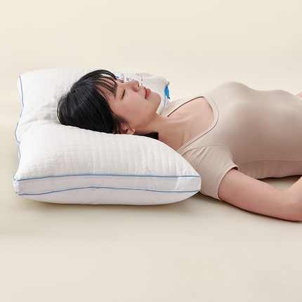 91家纺网 家纺一手货源 找家纺 （总）贵夫人 2024新款冰丝大豆枕枕头枕芯 