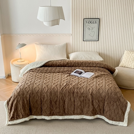 91家纺网 家纺一手货源 找家纺 （总）璐维斯家纺 2025款塔芙绒提花双层毛毯 盖毯 羊羔绒牛奶绒双面休闲毯子 法莱绒毛毯 跨境 外贸 直播 电商专供 礼品绒毯 