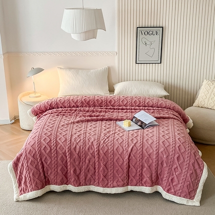 91家纺网 家纺一手货源 找家纺 （总）璐维斯家纺 2025款塔芙绒提花双层毛毯 盖毯 羊羔绒牛奶绒双面休闲毯子 法莱绒毛毯 跨境 外贸 直播 电商专供 礼品绒毯 