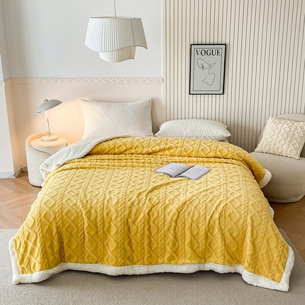 91家纺网 家纺一手货源 找家纺 （总）璐维斯家纺 2025款塔芙绒提花双层毛毯 盖毯 羊羔绒牛奶绒双面休闲毯子 法莱绒毛毯 跨境 外贸 直播 电商专供 礼品绒毯 