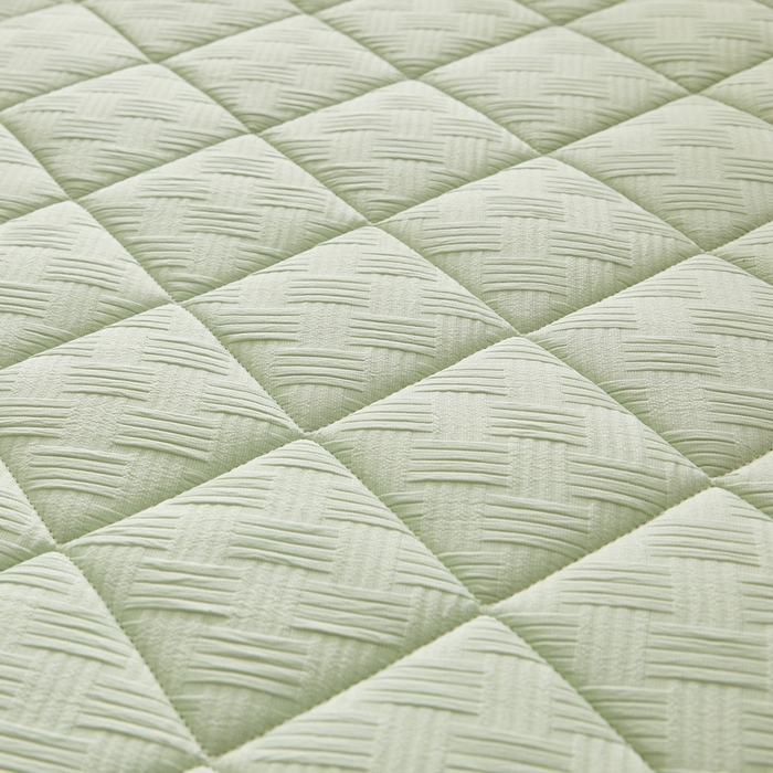 91家纺网 家纺一手货源 找家纺 祁恋婷家居 2024新款华夫格立体乳胶记忆棉床垫【床垫遮盖物】 清新绿 椰棕记忆棉款-5cm