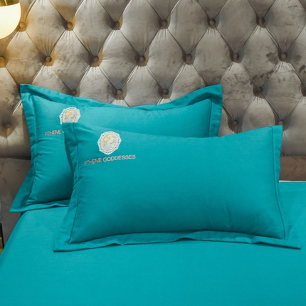 艾迪尚家纺 2025新款纯色生态磨毛绣花单枕套 艾薇儿-复古兰