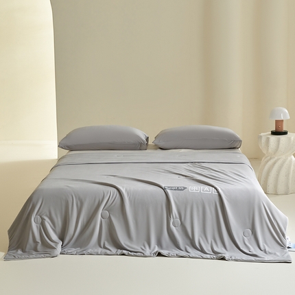 桃子 2024新款A类高品质冰冰凉雪花冰感凉皮双面凉感夏被 冰感凉皮-浅银灰（加倍透气）