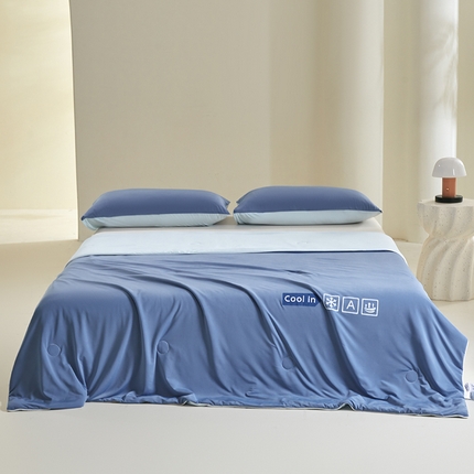桃子 2024新款A类高品质冰冰凉雪花冰感凉皮双面凉感夏被 冰感凉皮-深蓝海盐（加倍透气）