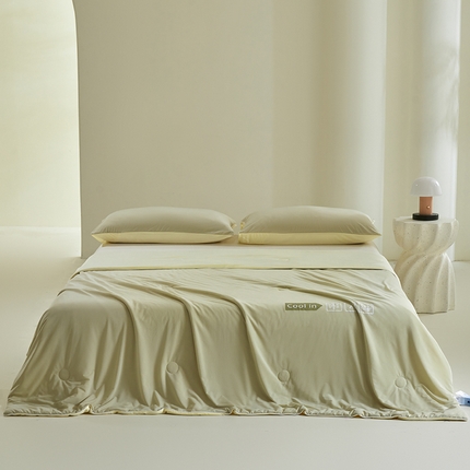 桃子 2024新款A类高品质冰冰凉雪花冰感凉皮双面凉感夏被 冰感凉皮-抹茶芒果（加倍透气）