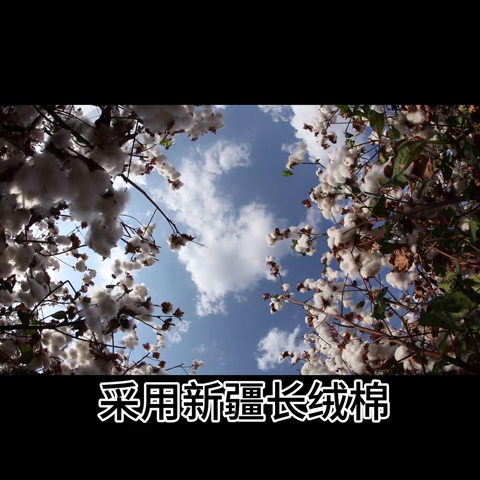 91家纺网 家纺一手货源 找家纺 （总）宝时兰 2024新款纯色单枕套全棉加厚生态喷气磨毛纯棉口袋枕套