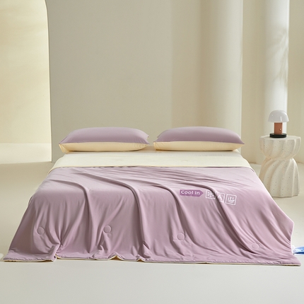 桃子 2024新款A类高品质冰冰凉雪花冰感凉皮双面凉感夏被 冰感凉皮-葡萄奶昔（加倍透气）