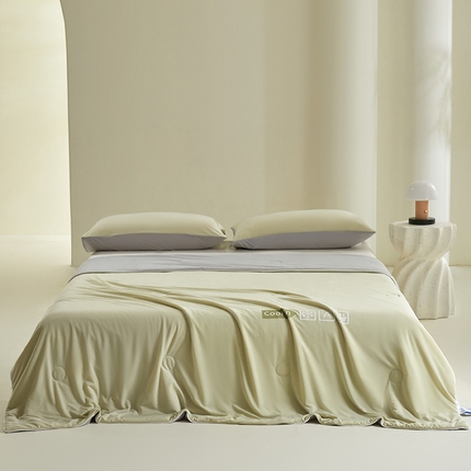 桃子 2024新款A类高品质冰冰凉雪花冰感凉皮双面凉感夏被 冰感凉皮-青石绿灰（加倍透气）